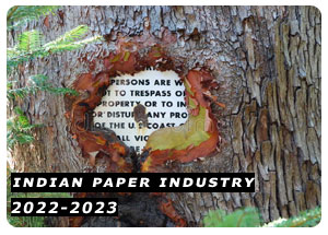 2022-2023 Indian Paper Industry